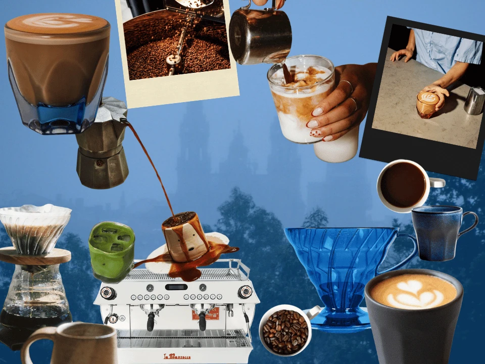 Banner limpio de Bruma